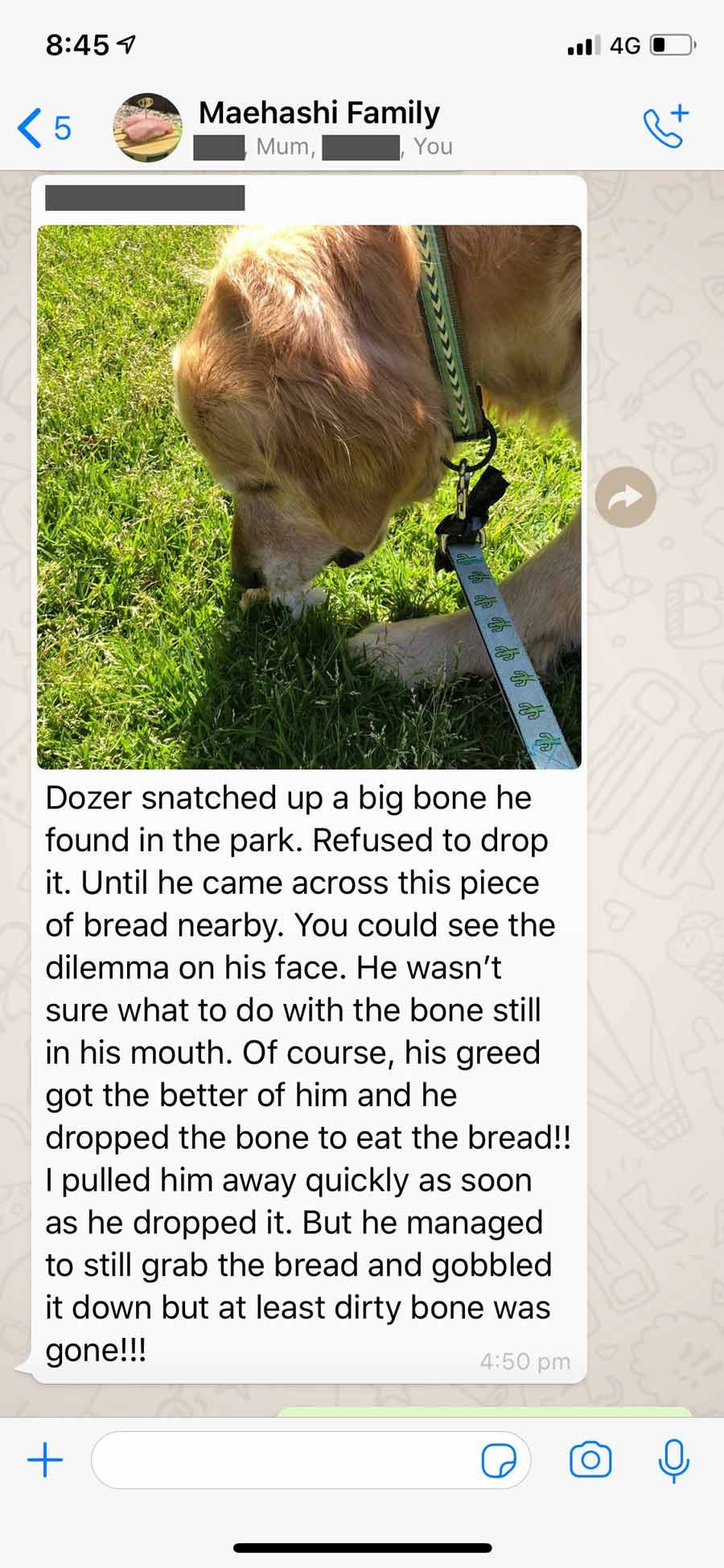 Dozer-family-WhatsApp