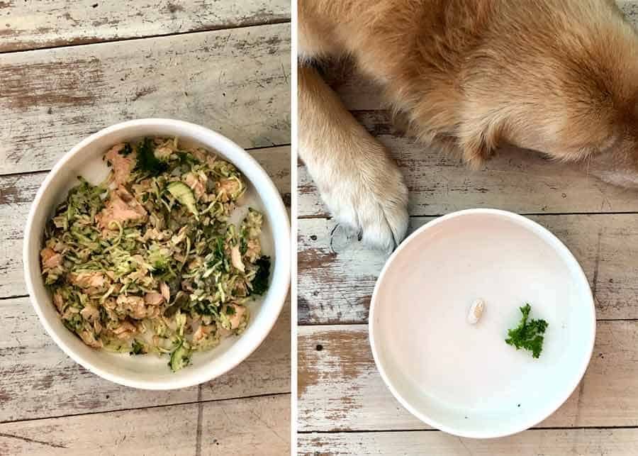 Dozer leaving kale in food bowl