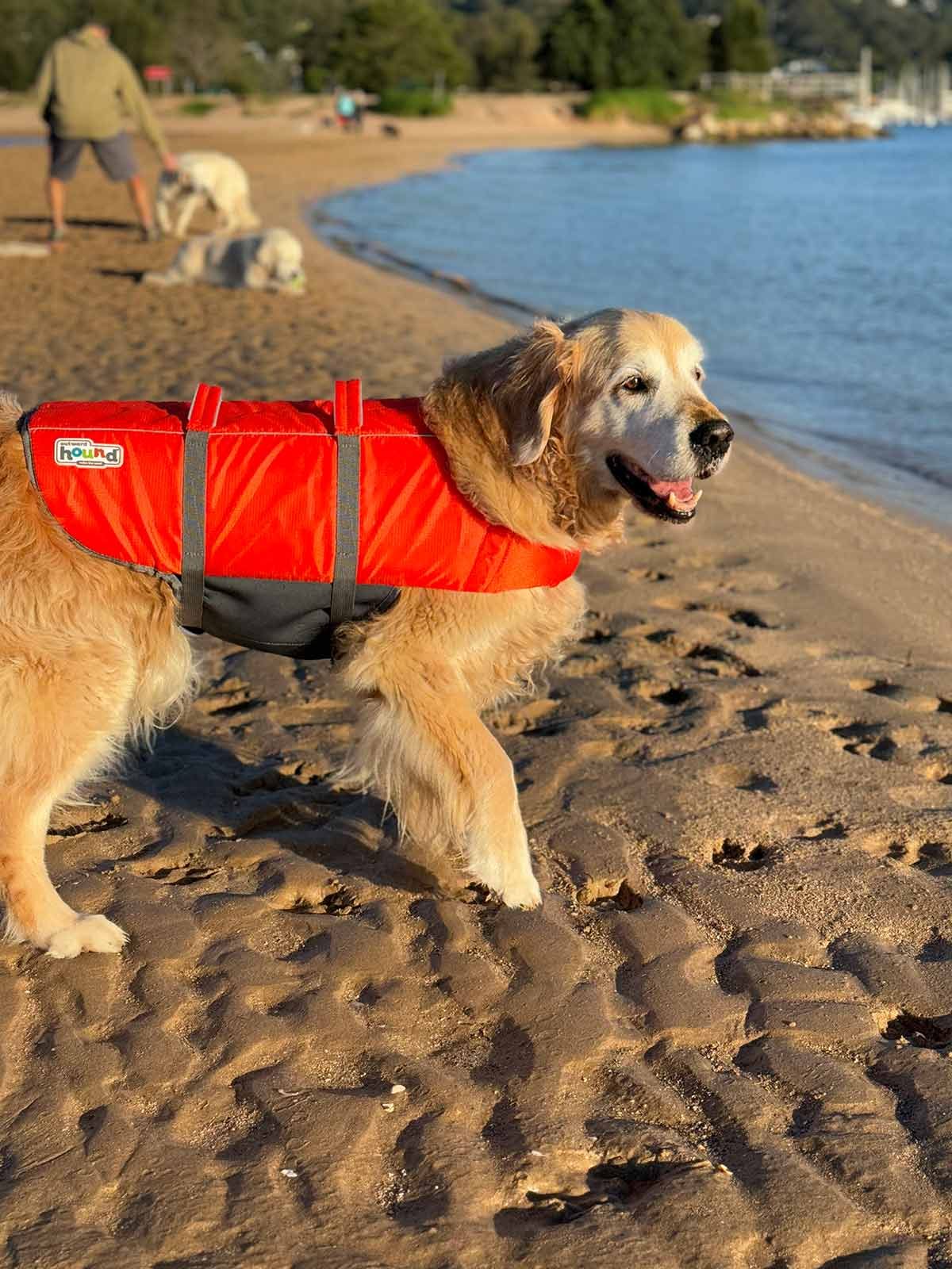 Dozer life jacket