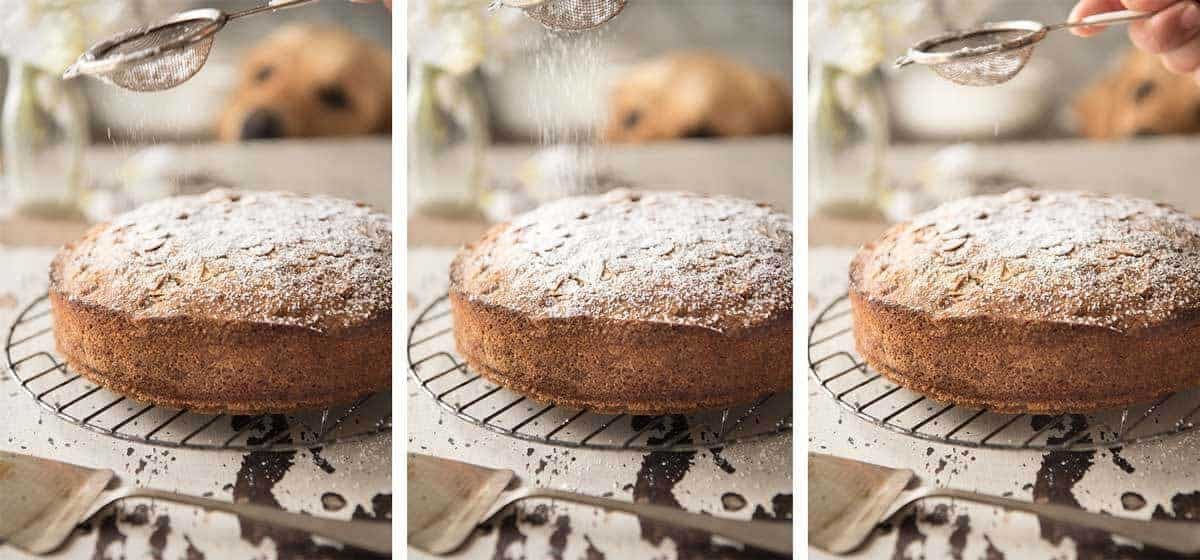 Dozer the golden retriever photo bombing Apple Cake photos