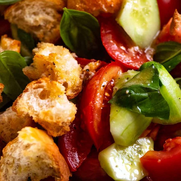 Close up photo of Panzanella Italian tomato and bread salad