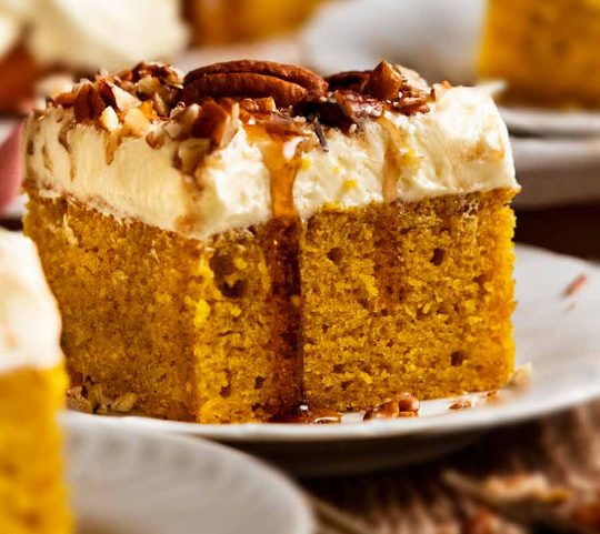 Close up photo of Pumpkin Cake